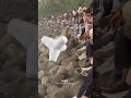 Marine Drive पर ये अजीब पत्थर क्यों हैं