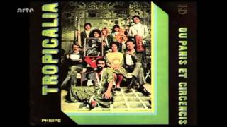 Arto Lindsay, Tracks, 2011, 31.03