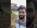 aaj khet mae jevik khaad spray kraya.. minivlog dailyshorts shorts farming village familyvlog