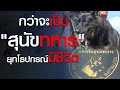 28 พ.ย. 64 สุนัขทหาร ยุทโธปกรณ์พิเศษของกองทัพที่มีชีวิต