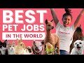 BEST PET JOBS IN THE WORLD PetCloud