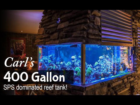 Carl's 400 Gallon SPS Dominated Reef Aquarium