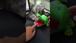 ▶️  Best kids game toy for birthday parties ( # 1422 )  @MaviGadgets  Crocodile Bite Kids Game Toy