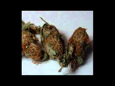 Miki Debrouya   Weed