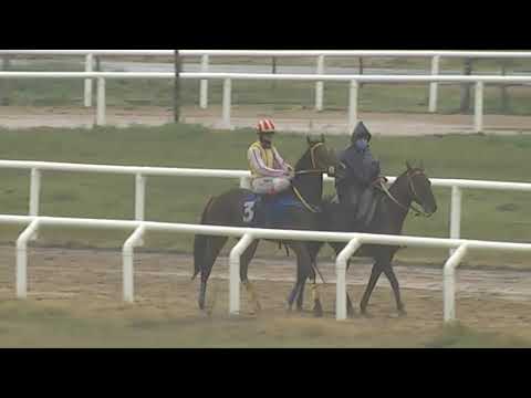 CARRERAS SINT PAYSANDU - 210521 c04 1° PAISAJISTA