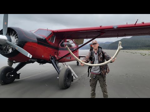 4 Days Solo Camping on Island Full of Whale Bones & Grizzly Bears