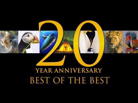 Best of the Best: 20 Years of Nature's Best Photography