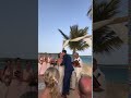 IMG 1981