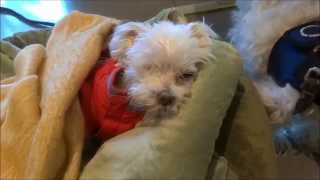 Cotton turns a corner.