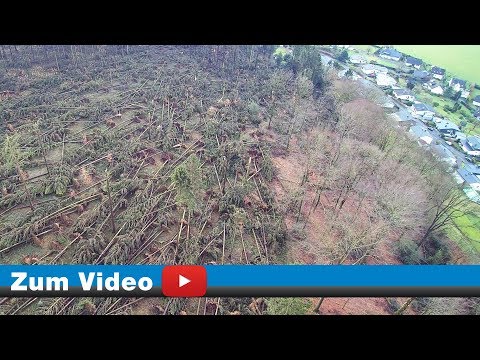 Windbruch-Sturm-Friederike-Januar-2018 - Video: Michael Kleinjung