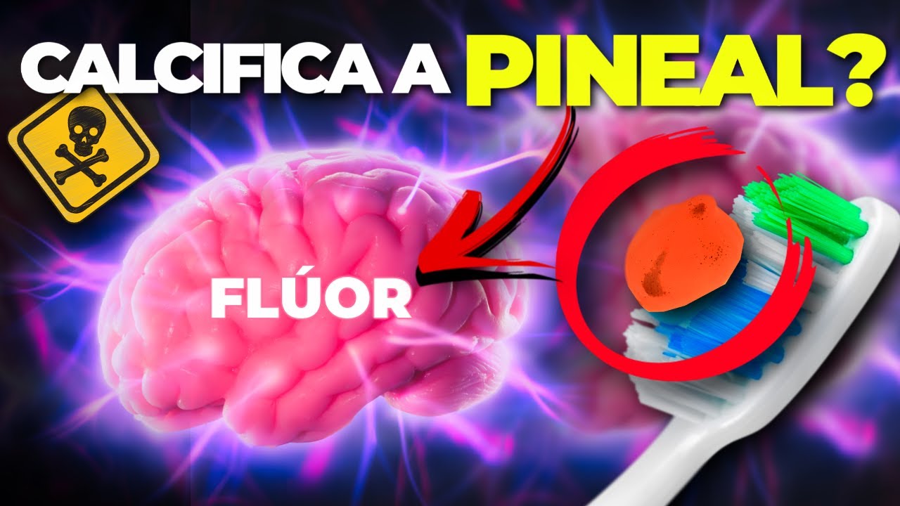 O PERIGO DO FLÚOR DA PASTA DE DENTE: FAZ MAL?
