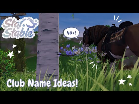 40+ CLUB name ideas! 🌼🎉 | Star Stable Online |