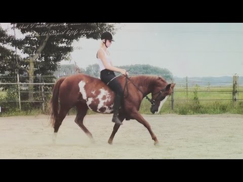 MarenHaagsma’s Video 131223388931 cdIQpzaoApk