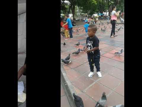 Landa la sensación ft Jose Rodriguez me tiene Enamorado