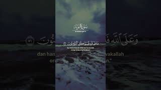 Download lagu QS At Taubah Ayat 51 mp3