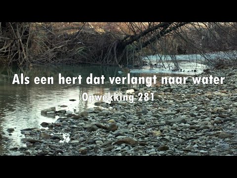 Opwekking 281 - Als Een Hert Dat Verlangt Naar Water (Lyric Video)