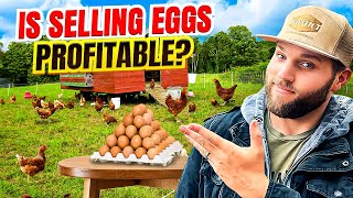 IS SELLING EGGS ACTUALLY PROFITABLE?
