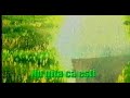Заставка канала Etno TV Romania 01 03 2002 31 08 2006 Оригинал