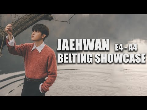 Kim Jaehwan (김재환) - Best Live Belts/High Notes (E4 - A4) | 고음 모음