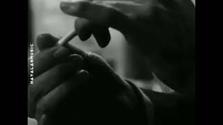 Download lagu Story wa nglinting rokok mp3 Download lagu Story wa nglinting rokok mp3