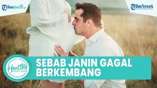 Mengenal Penyebab Janin Gagal Berkembang yang Wajib Diketahui Ibu Hamil, Termasuk Kelainan Kromosom