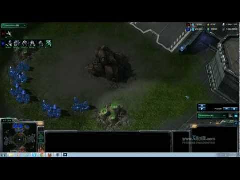 Adventures in Starcraft Beta League