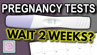IVF 2 week wait - Is it necessary? Myth busted!