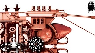 Shulman - Another Paradigm