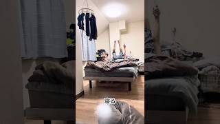 42歳フリーター　大工さんのお手伝い15日目 #vlog #日常#40代の挑戦