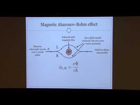 Decoherence & the Quantum Detection - Jess Riedel