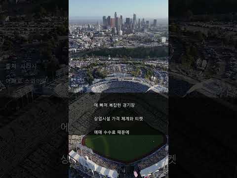 야구장 갈 때 필독! 🚨