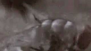 Slipknot - 742617000027 ( Music Video )