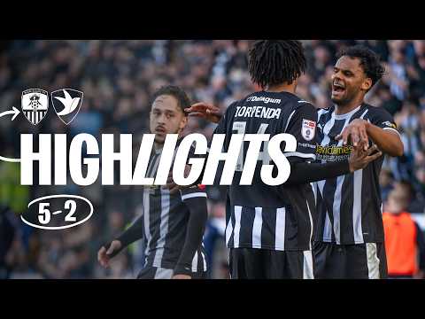 bg-highlight