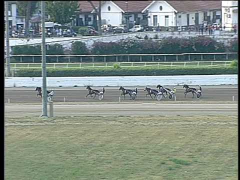 Trotto 15/06/2017 - 2ª prova di qualifica