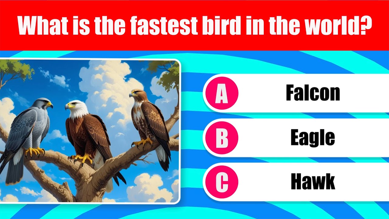 Can You Pass This Birds Quiz? Take This 30-Question Birds Quiz!