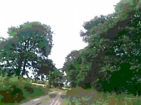 Love This Reggae Music lyrics