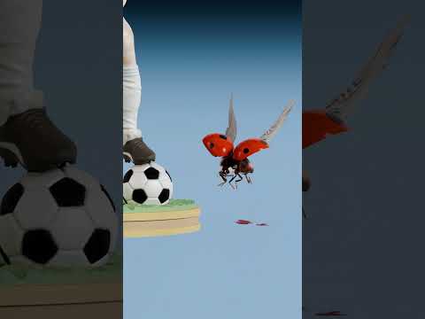 Mosquito Size vs Rhino Beetle Size