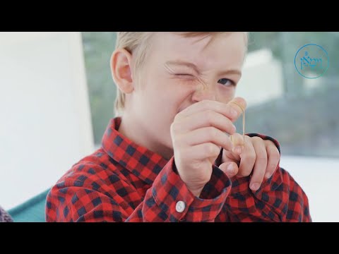 Rubber Band Mayhem | Rabbi Fischel Schachter
