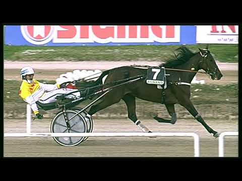 Trotto 23/10/2020 - 1ª corsa