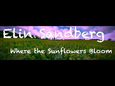 Elin Sandberg - Where the Sunflowers Bloom