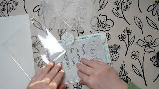 Mandy Lynn Plans and Dazzling Daisies Haul