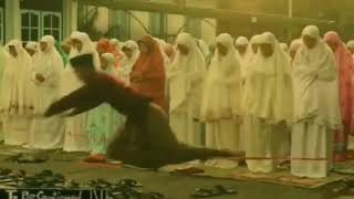 FUNNY VIDEO | BUTTERCUP MEMES COMPILATION | MEME INDONESIA FUNNY VIDEO | BUTTERCUP MEMES COMPILATION | MEME INDONESIA