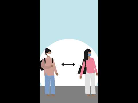 ZAP ZAP das Domésticas - 2020 - Dicas sobre prevenção