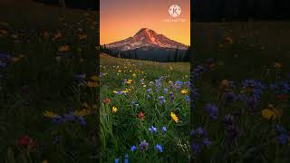 Download lagu Parthu parthu kangal song lyrics tamil melody songs evergreen songs SP Balasubramaniam Songs mp3