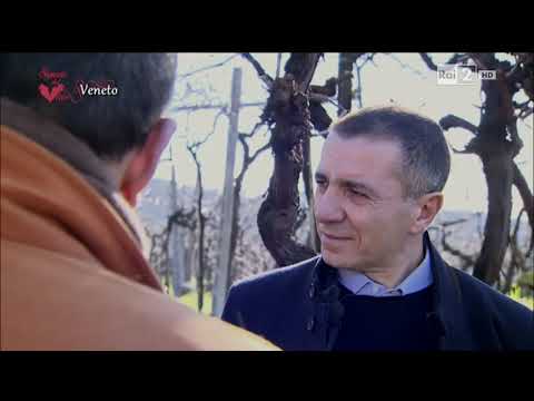 Stagione 2015, 21 marzo: Veneto