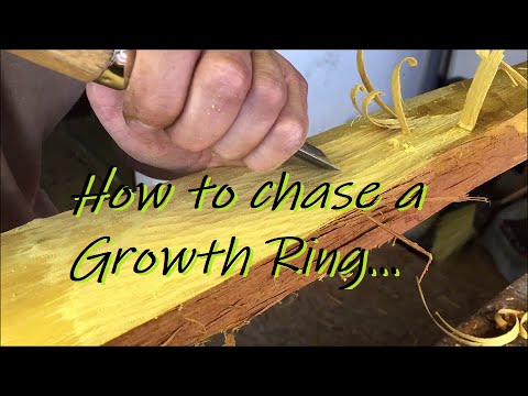 Bogenbau - Jahresring freilegen / chasing a growth ring