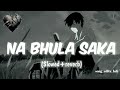 Na Bhula Saka Mai Teri ChahTe Slowed Reverb Melodic Lofi Vibes