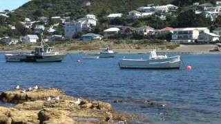 preview picture of video 'Island Bay - Wellington City'