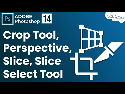 Adobe Photoshop Introduction Photoshop for Beginners in Hindi | 1