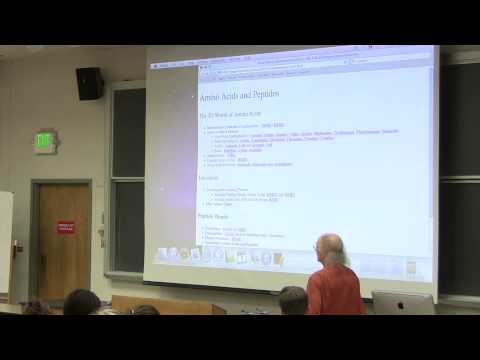 #4 Biochemistry Lecture (Amino Acids) from Kevin Ahern's BB 350